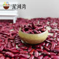 Bulk dark red kindey bean for sale pulses